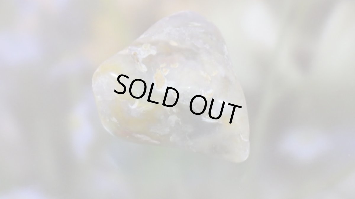 画像4: コプロライト（恐竜のうんこ） ジュラ紀 (4)