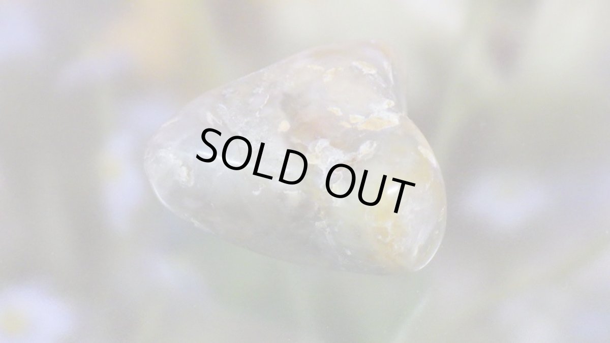 画像5: コプロライト（恐竜のうんこ） ジュラ紀 (5)