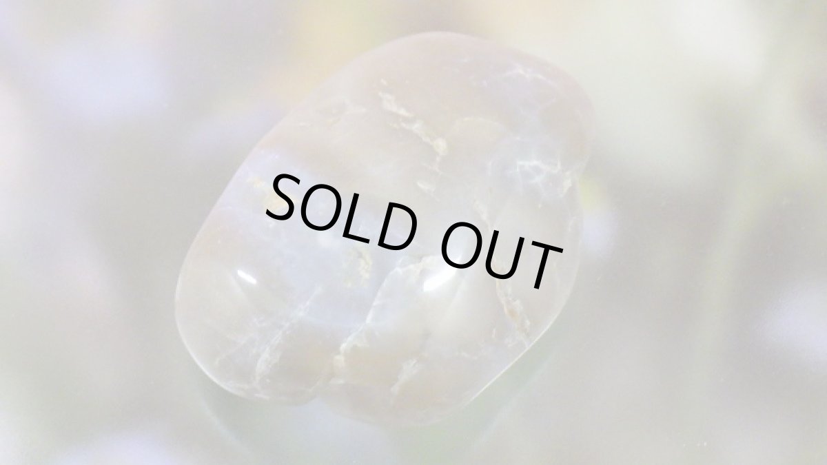 画像2: コプロライト（恐竜のうんこ） ジュラ紀 (2)