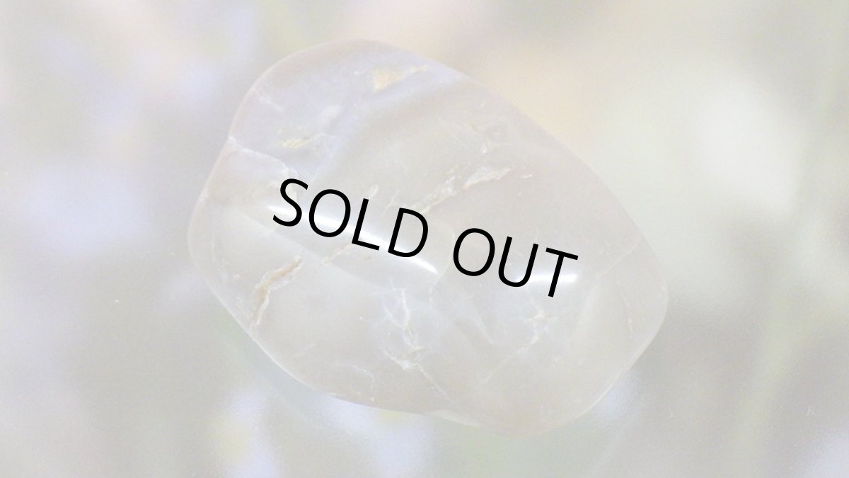 画像3: コプロライト（恐竜のうんこ） ジュラ紀 (3)