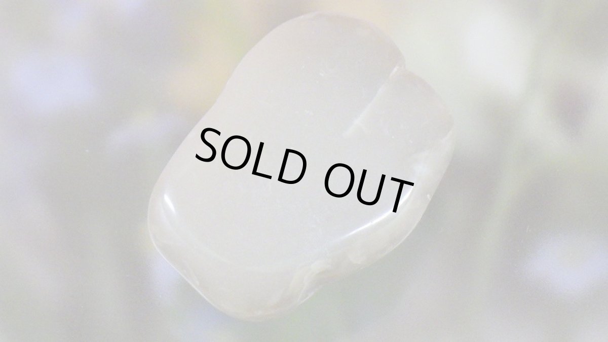 画像4: コプロライト（恐竜のうんこ） ジュラ紀 (4)