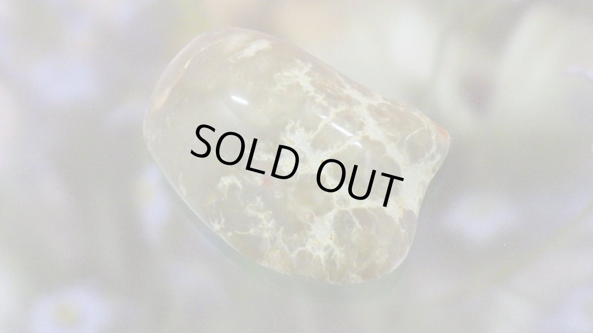 画像2: コプロライト（恐竜のうんこ） ジュラ紀 (2)