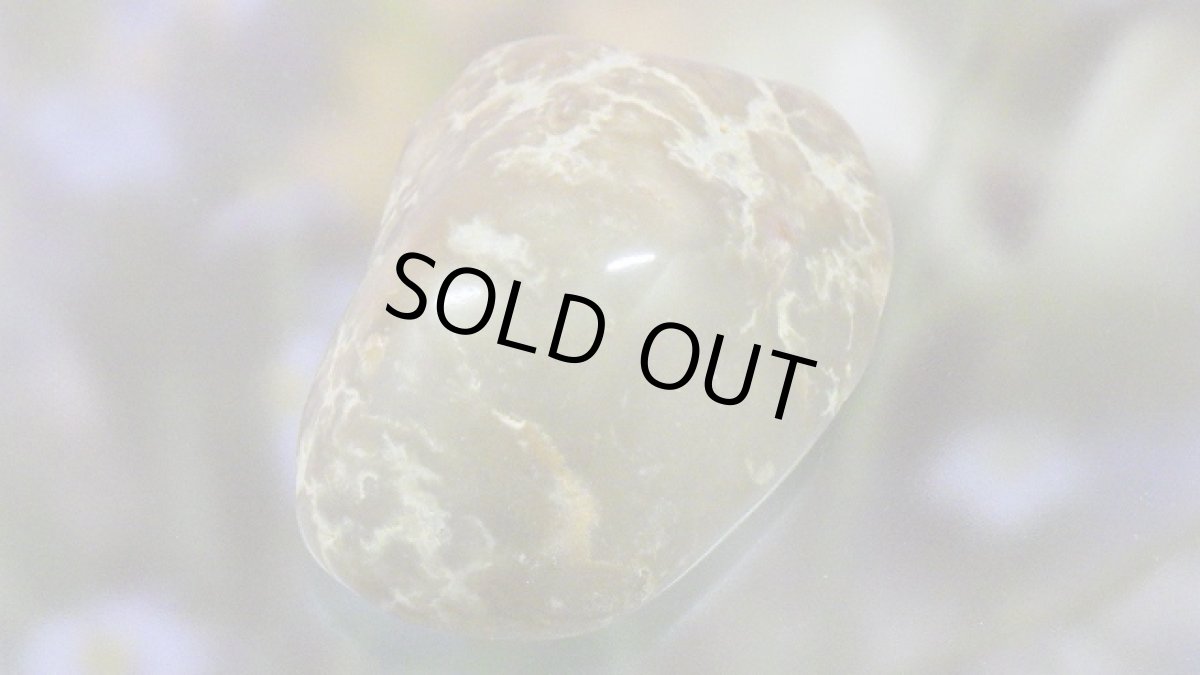 画像3: コプロライト（恐竜のうんこ） ジュラ紀 (3)