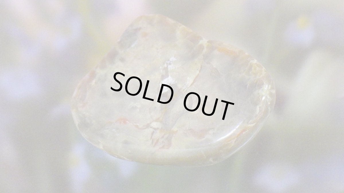 画像4: コプロライト（恐竜のうんこ） ジュラ紀 (4)