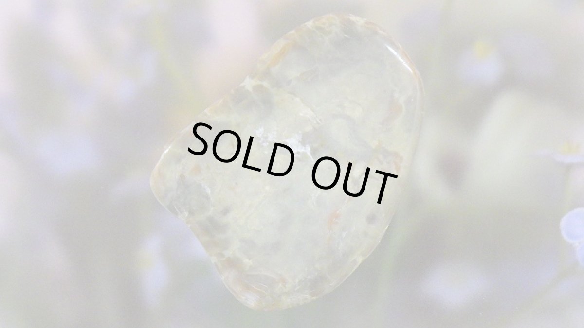 画像5: コプロライト（恐竜のうんこ） ジュラ紀 (5)