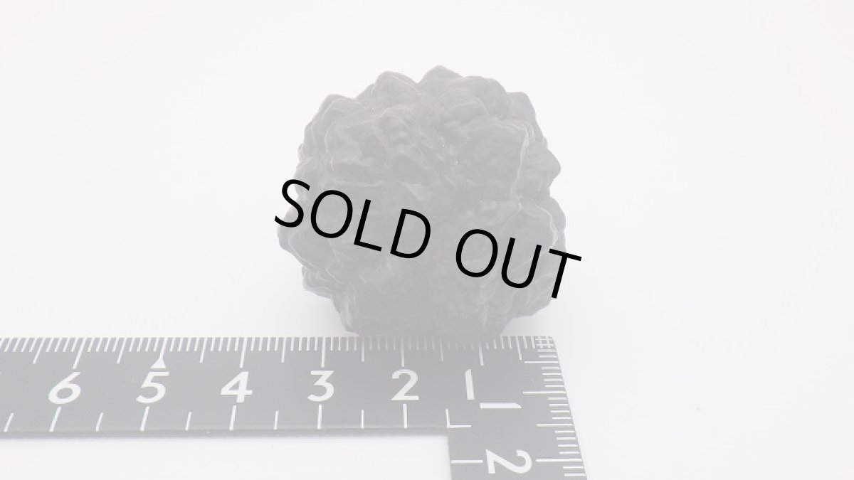 画像7: エジプトの星 ゼットストーン (7)