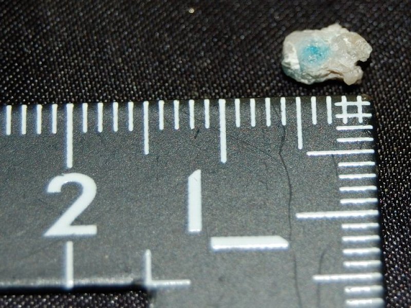 画像2: ユークレース