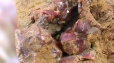画像2: ガーネット（柘榴石） 母岩付き原石 (2)