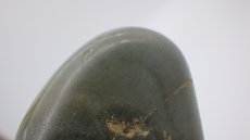 画像1: グリーンルチルクォーツ（針入り水晶）アクチノライト レア (1)