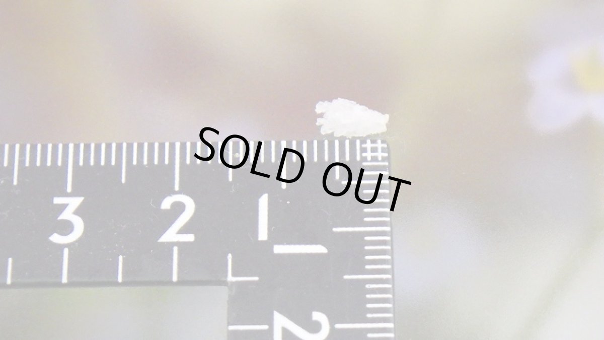 画像5: ハイアライト（玉滴石） (5)