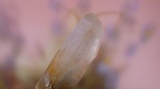 画像4: 角閃石入り水晶 (4)