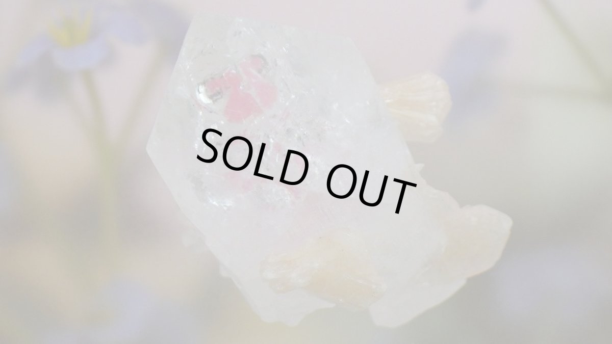 画像5: アポフィライトxスティルバイト (5)