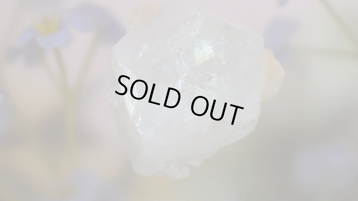 画像6: アポフィライトxスティルバイト (6)