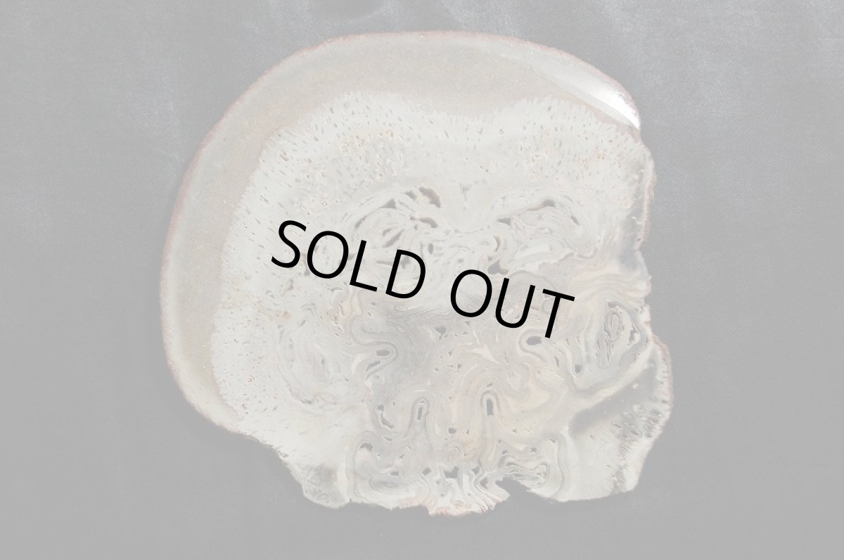 画像2: 珪化木（けいかぼく）ペトリファイドウッド (2)