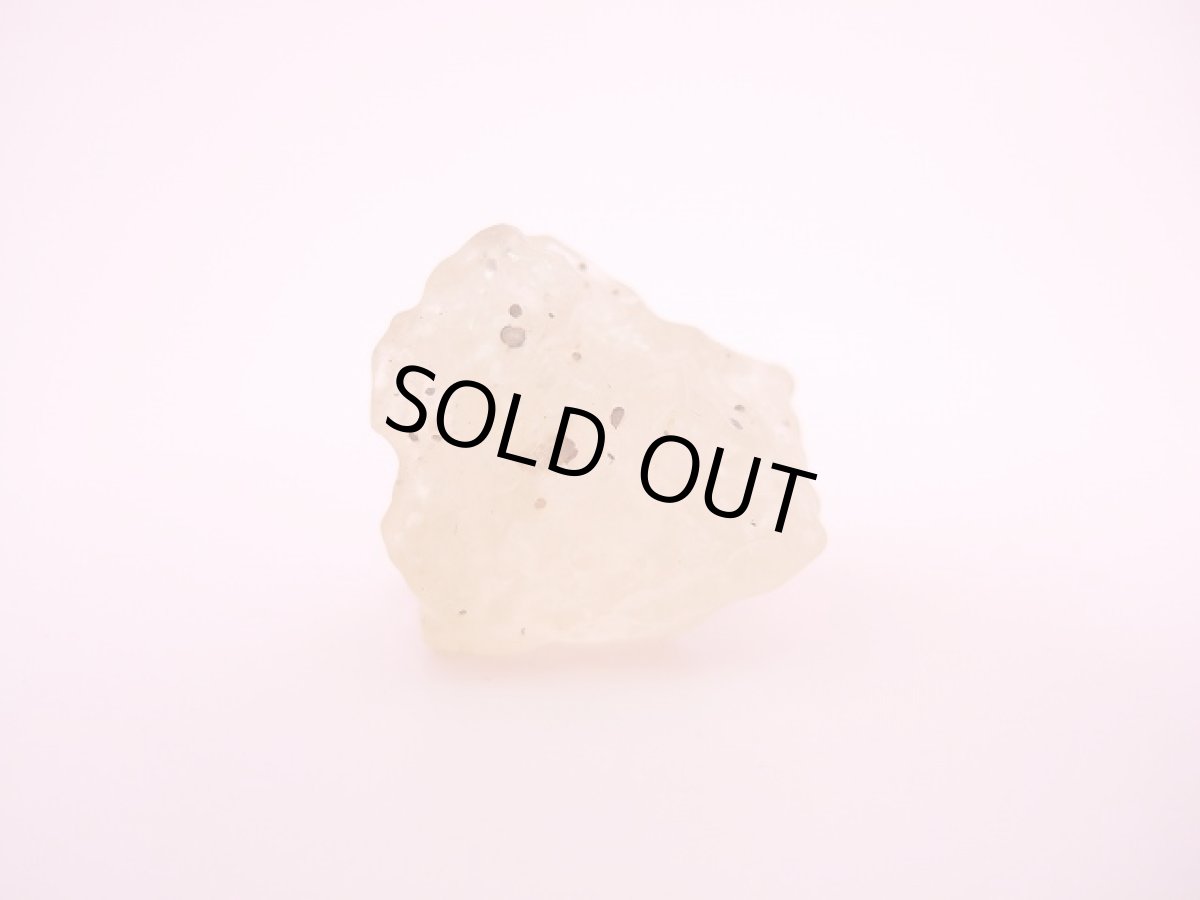 画像2: リビアングラス (2)