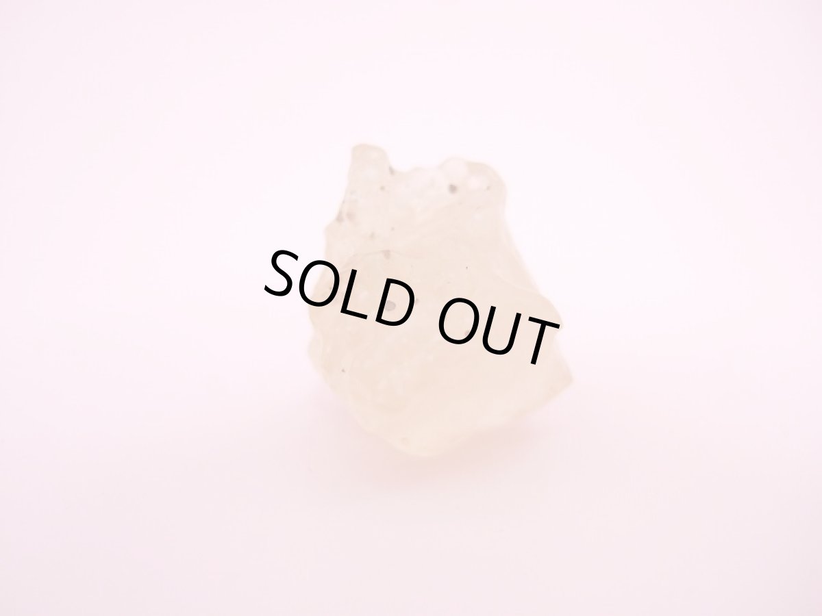 画像3: リビアングラス (3)