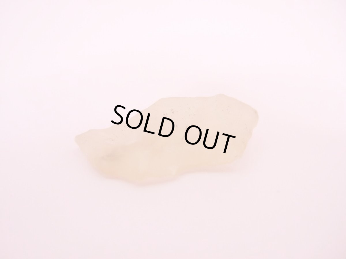 画像3: リビアングラス (3)