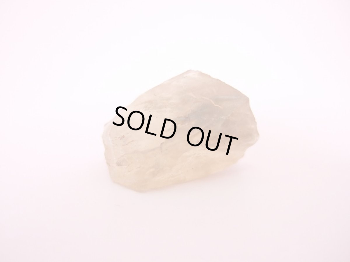 画像3: リビアングラス (3)