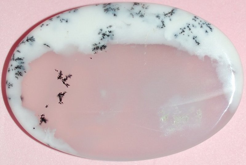 画像1: メリルナイト