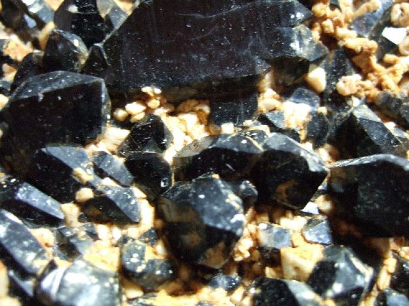 画像2: モリオンクラスター(黒水晶クラスター)モーリオン 1198g