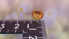 画像5: ミスティッククォーツ ルース 2.02カラット (5)