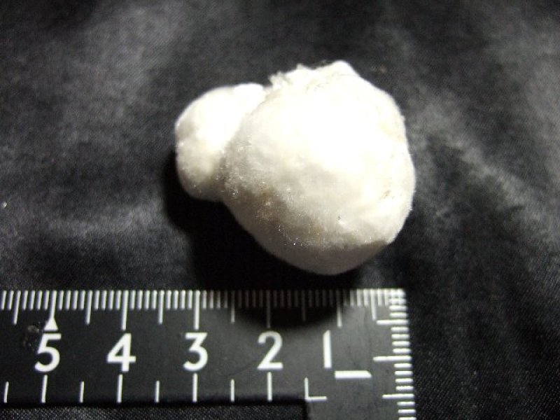 画像2: オーケナイト（ラビットテール）