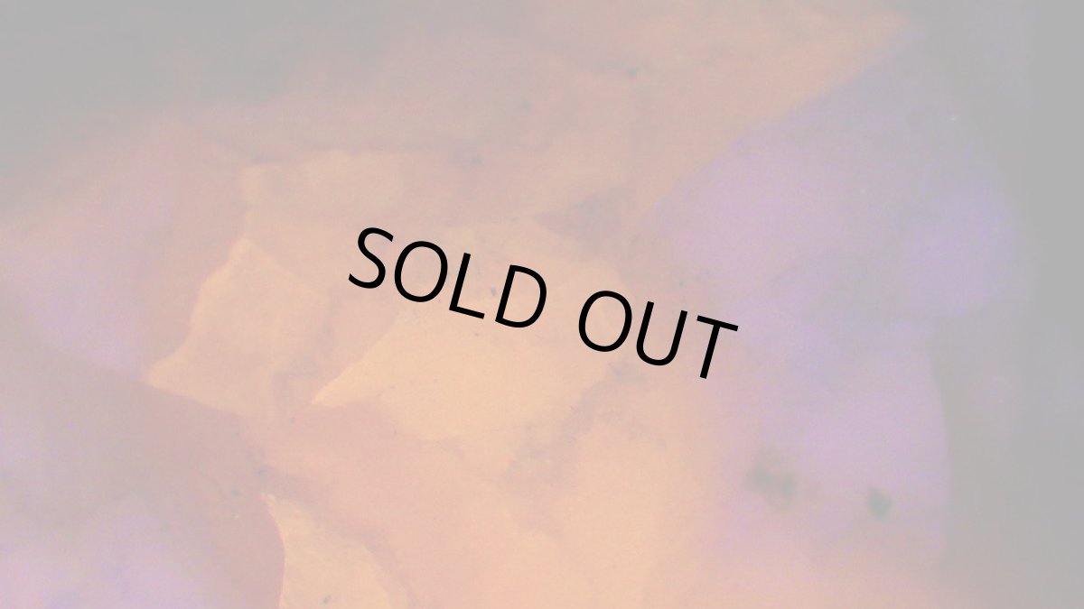 紫外線ライト（短波）を当てて撮影