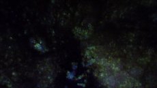画像3: 蛍光オパール（蛋白石） (3)