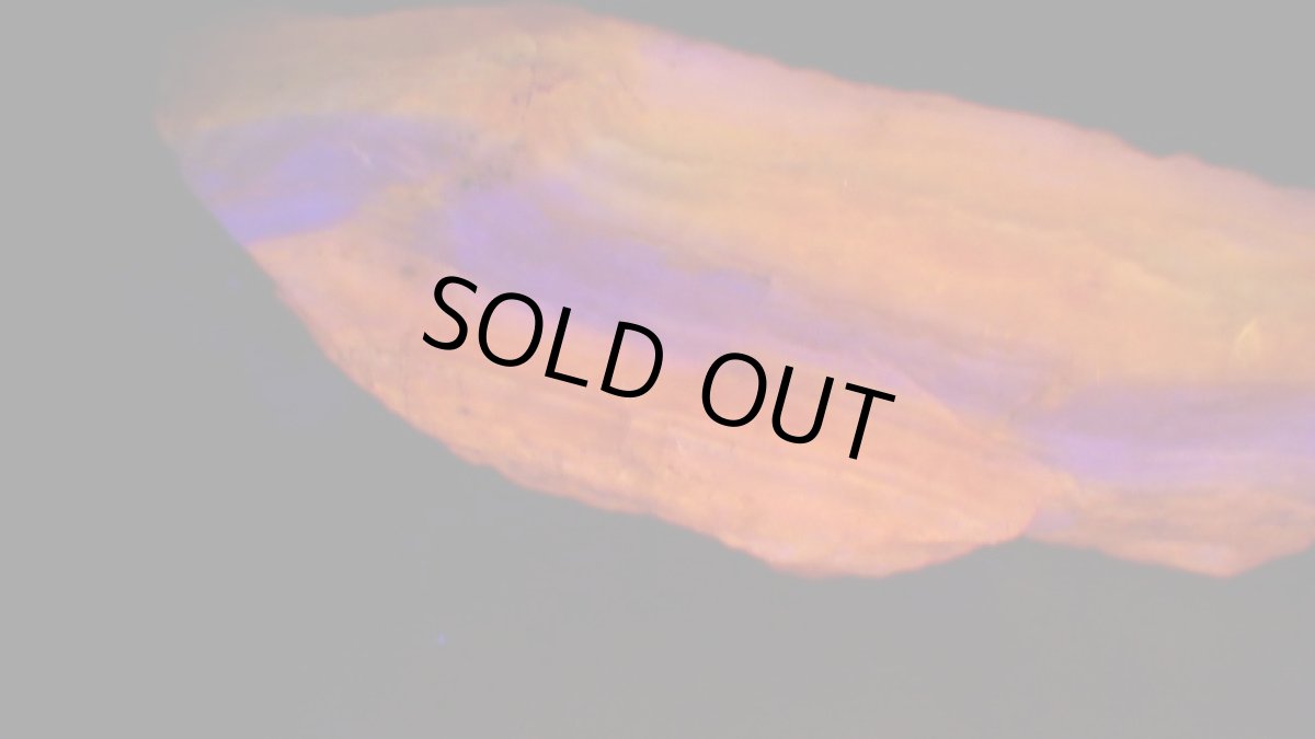 紫外線ライト（短波）を当てて撮影