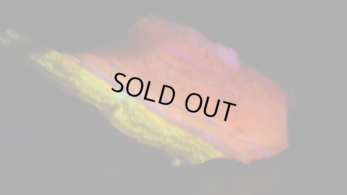 紫外線ライト（短波）を当てて撮影