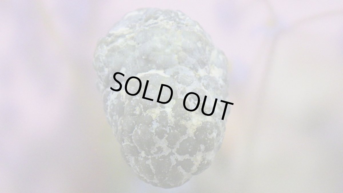 画像6: オパール（蛋白石）ノジュール (6)