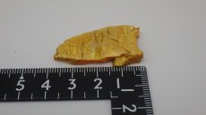 画像5: オーピメント（石黄）雌黄 (5)