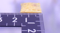 画像5: オーピメント（石黄）雌黄 (5)