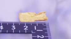 画像5: オーピメント（石黄）雌黄 (5)