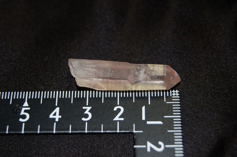 画像2: ピンクレムリアンシード  