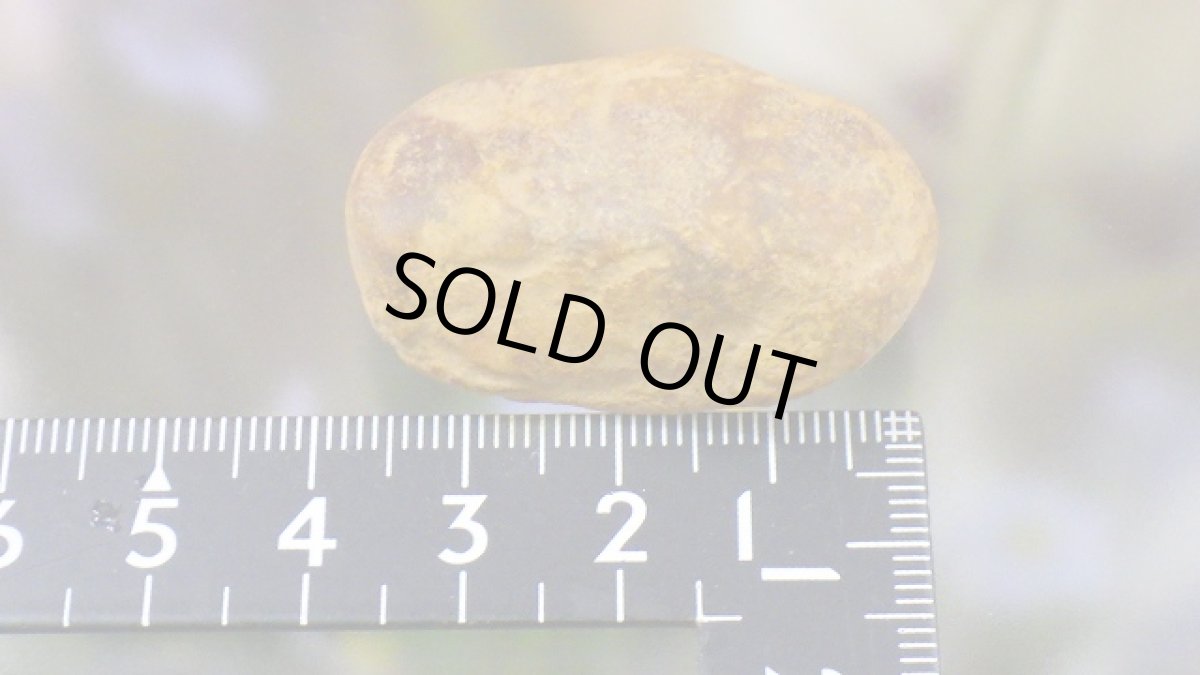 画像8: 鈴石（鳴石） (8)