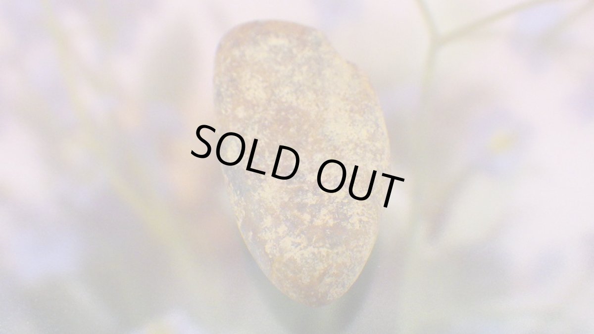 画像7: 鈴石（鳴石） (7)