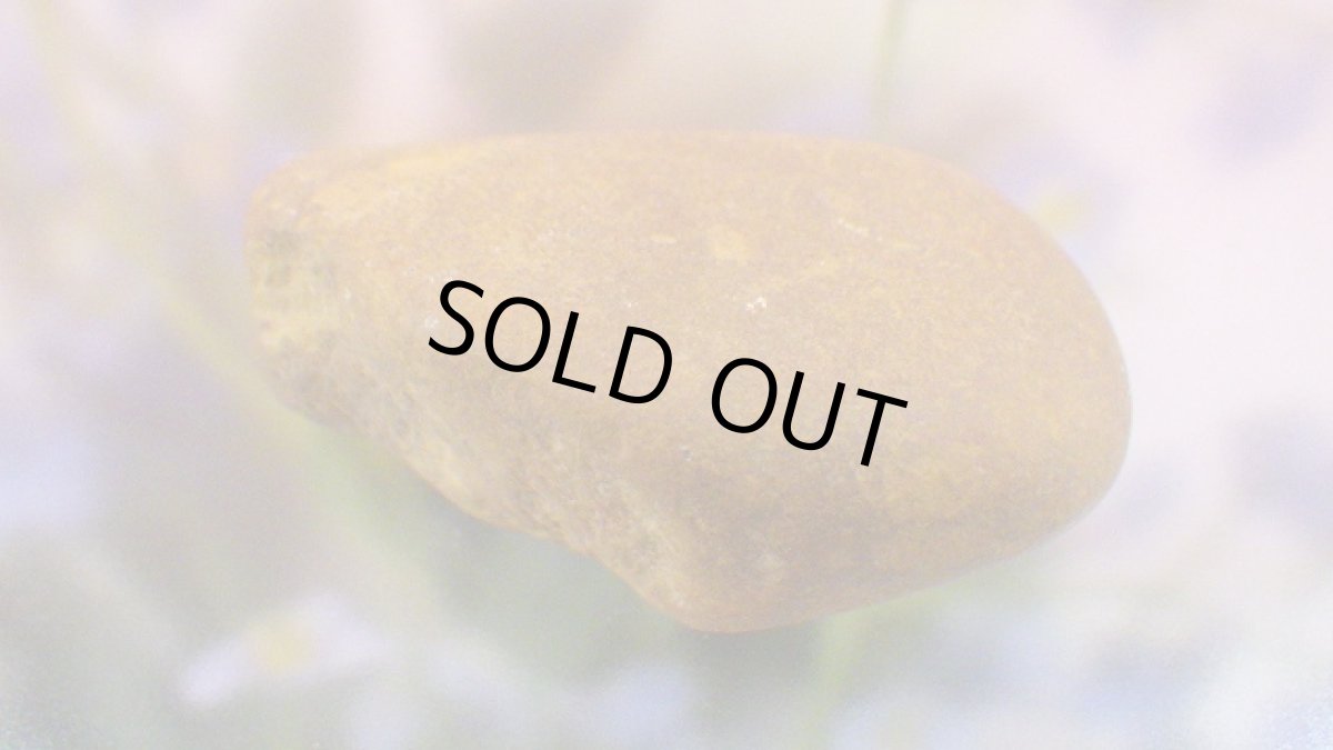 画像3: 鈴石(鳴石) (3)