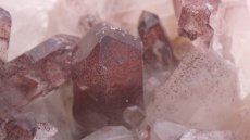 画像1: ヒマラヤ産 レッドファントムクラスター 98g (1)