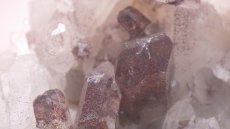 画像3: ヒマラヤ産 レッドファントムクラスター 98g (3)