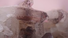 画像4: ヒマラヤ産 レッドファントムクラスター 98g (4)