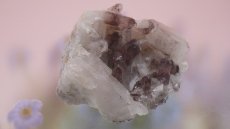 画像5: ヒマラヤ産 レッドファントムクラスター 98g (5)