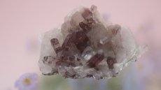 画像6: ヒマラヤ産 レッドファントムクラスター 98g (6)