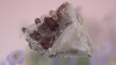 画像7: ヒマラヤ産 レッドファントムクラスター 98g (7)