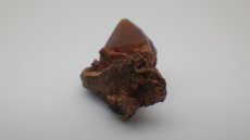 画像5: レッドクォーツ（赤水晶） (5)