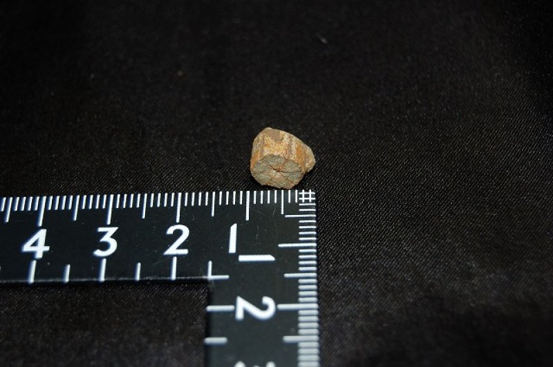 画像2: 桜石 原石