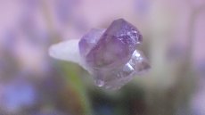 画像5: セプターアメジスト（紫水晶） (5)