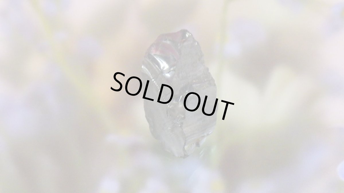 画像5: シルバーシュンガイト（エリートシュンガイト） (5)