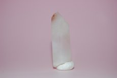 画像2: シルキークォーツ（水晶）ポイント ディアマンティーナ産 (2)