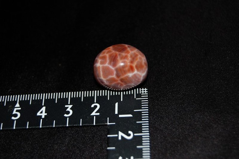 画像2: スネークスキンアゲート(瑪瑙)タンブル